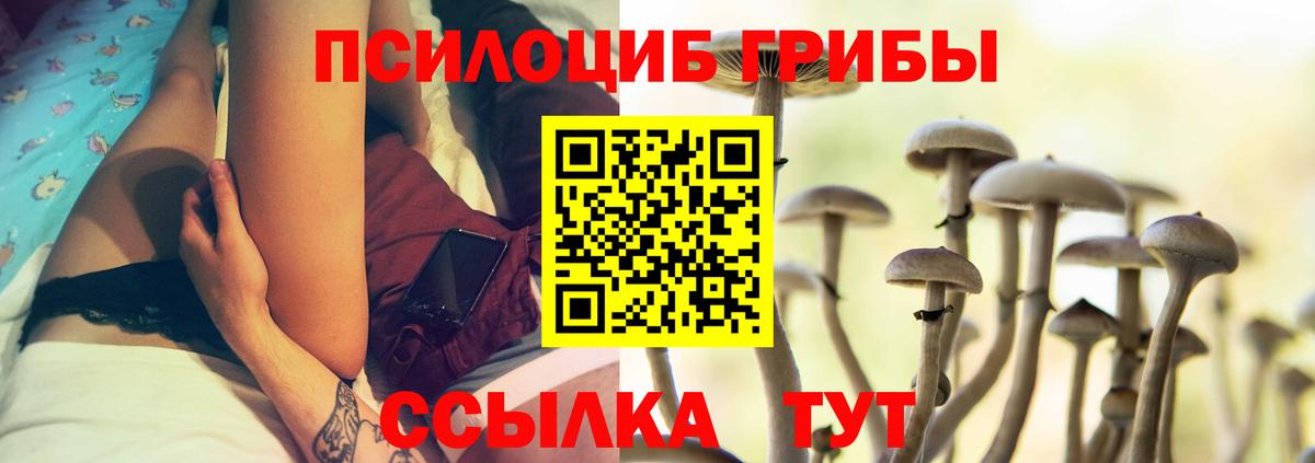 Псилоцибиновые грибы GOLDEN TEACHER Нефтеюганск